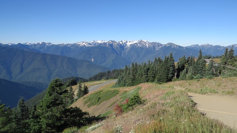 (79) The Olympic Range from Hurricane Ridge.JPG